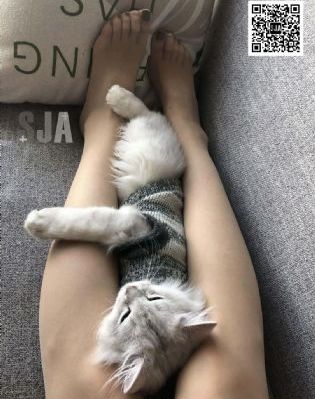私密毛可以自己刮吗_蓝光迅雷电影在线
