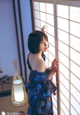 猫咪视频www成人网络小说_超清在线播放观看