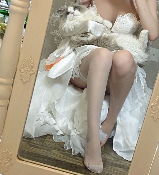 精品二区三区激情汇集亚洲成人四区_免费在线观看